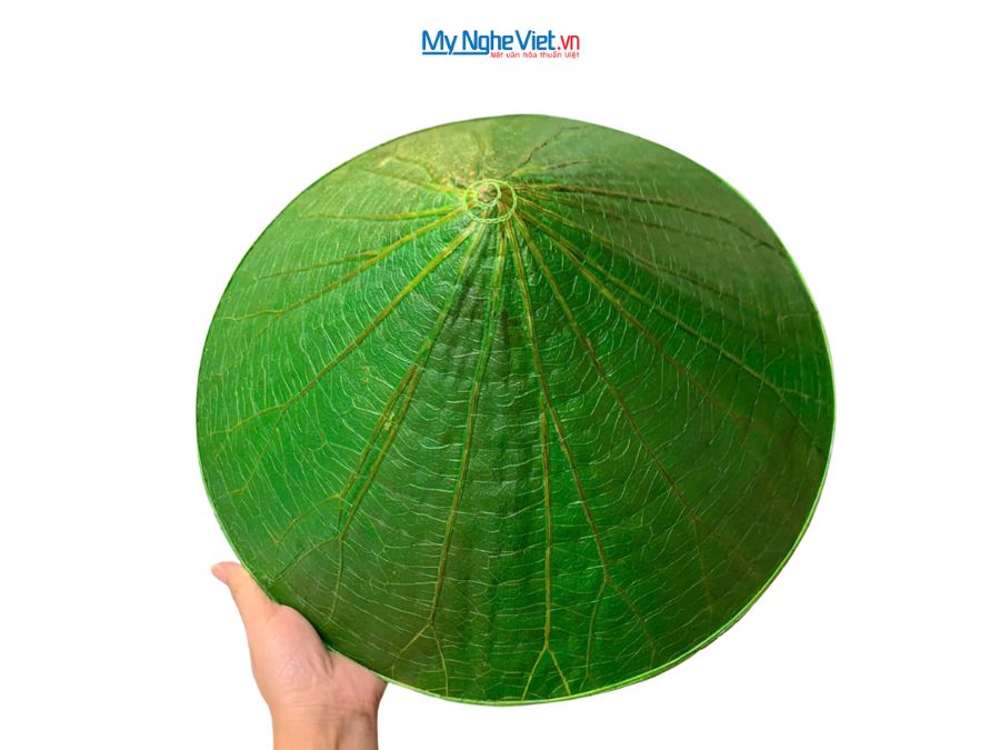 Nón lá sen thủ công Việt Nam MNVNL03