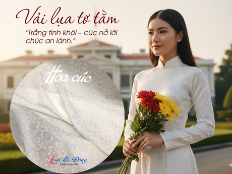 Vải áo Cúc Trắng 3.7 MNV-LHD17-3.7